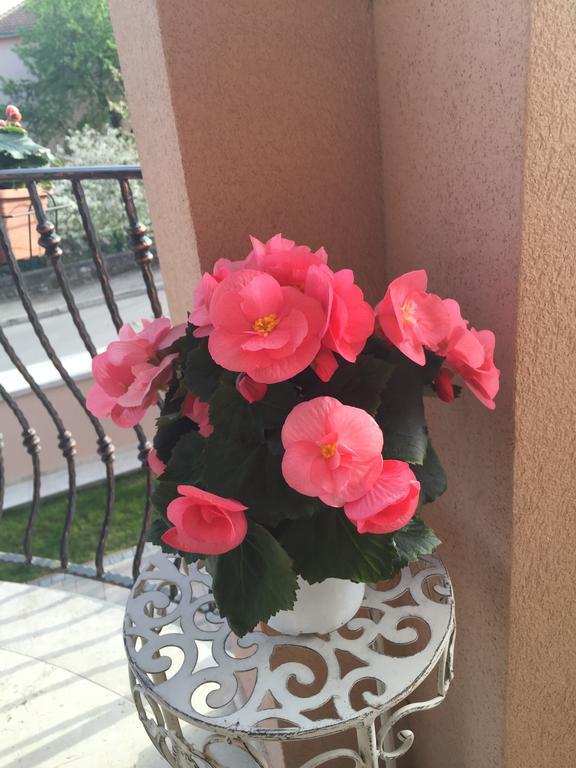 Apartment Villa Baric 4412 ロヴィニ エクステリア 写真